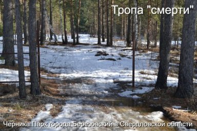Жители поселка указывают на тропу смерти в Черника Парке и требуют от властей срочных мер